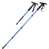 alpenstock