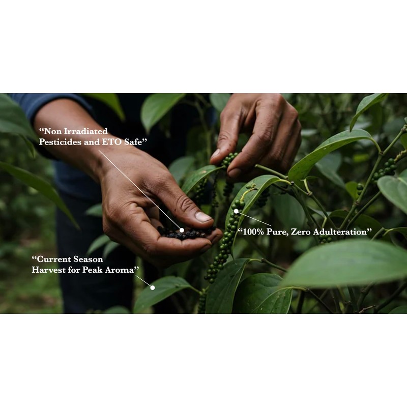 Soché Tellicherry Black Peppercorns 200 g, Hand Selected Whole Pepper