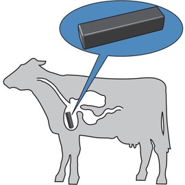 Master Magnetics COW-SCM7CX18 Ferrite Cow Magnet, 3" Length, 0.67" Width, 0.65" Height, Black Powder Coat (Pack of 18)