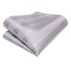 Hi-Tie Classic Mens Silk Ties Set 4 PCS Necktie Pocket