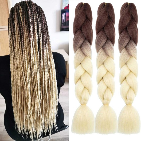 Xtrend 3 Packs 24 Inch 2 Tone Ombre Tress de