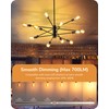 EDISHINE Vintage LED Edison Bulbs 8W, 60W Equivalent, 2200K Amber