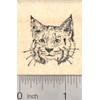 Bobcat Face Rubber Stamp, Small, North American Wildlife Cat