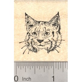 Bobcat Face Rubber Stamp, Small, North American Wildlife Cat