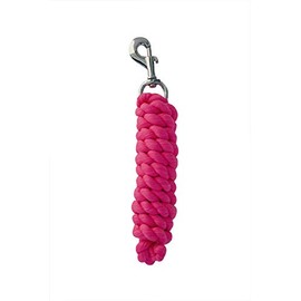 Rhinegold Neon Leadrope