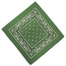 Unknown Biker Motorbike Bandana Head Scarf in Cloth Various Paisley Pattern Colours -