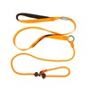 Slip Lead for Dogs Leash Explosion-Proof Strong Adjustable Collar Thin