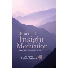 Practical Insight Meditation: Basic and Progressive Stages