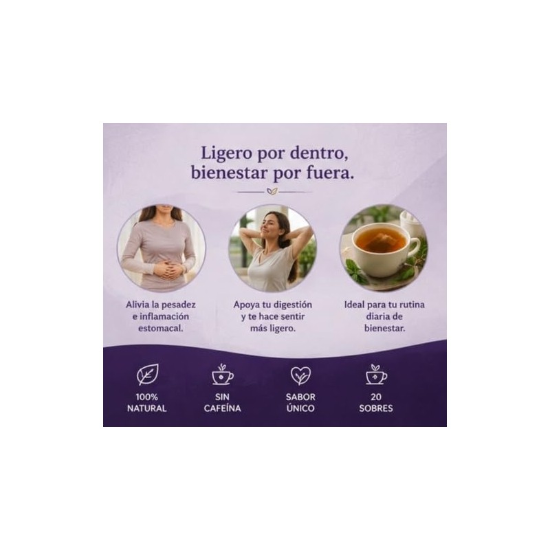 Plamesi Diges Digestivo Infusion Herbal Natural Cafeina Cajas Sobres Menta
