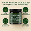 Organic Tea Tree Foot Cream for Dry Cracked Feet, Heels,
