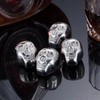 4 PCS Stainless Steel Skull Head Ice Cube with Silicone