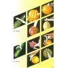 Berner Peeler, Y-Shaped, 5 Functions, NO.9, White, Made in Germany,