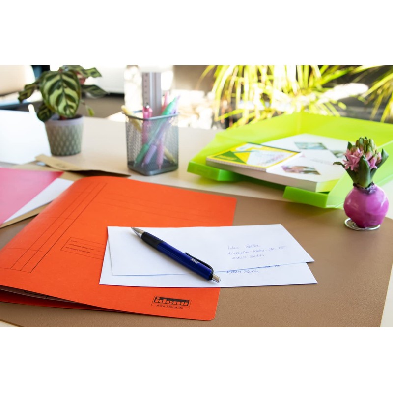 Idena 300041 Cardboard Folders A4 10 Items Green / Yellow