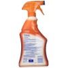 Lysol Antibacterial Kitchen Cleaner, Citrus Scent, 22 Ounces (Pack of