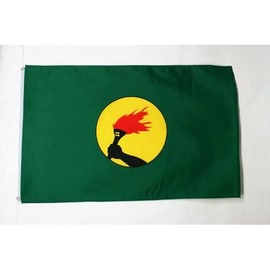 AZ FLAG - Zaire Flag 3' x 5' - Congolese flags 90 x 150 cm - Banner 3x5 ft - Drapeau Zaïre