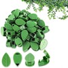 EBHO Pack of 50 Plant Clips, Plant Accessories, Plant Wall