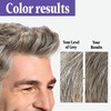 Touch of Gray Men's Hair Color, Light Brown (Pack of