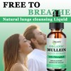 Mullein Drops for Lungs | Powerful Mullein Leaf Extract with