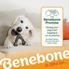 Benebone Pumpkin Spice Wishbone – Limited Edition Flavor, Durable Dog