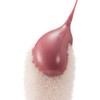 Mar Cosmetics Lip Gloss (Flirty Pink)