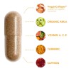 Hairtamin Colágeno Vegetal Skintamin 30 Caps Sfs Ht10