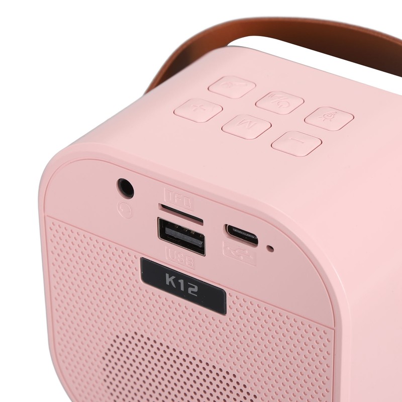 Portable Karaoke Machine LED Dynamic Light Small Bluetooth Speaker with