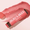 Bálsamo labial tintado natural Burt's Bees, Hibiscus, 2 unidades