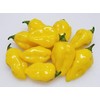 Puerto Rican Yellow Pepper 10+ Seeds