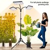 3Head 75W Standing Grow Lights for Indoor Tall Plants, Monstera