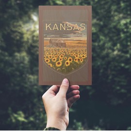 Kansas, Wheat Fields, Shack and Sunflowers, (4x6 Birch Wood Postcards, 2-Pack Stationary, Rustic Home Wall Decor)
