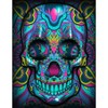 Diamond Painting Kits with Tools, Meecaa Skeleton Skull DIY 5D