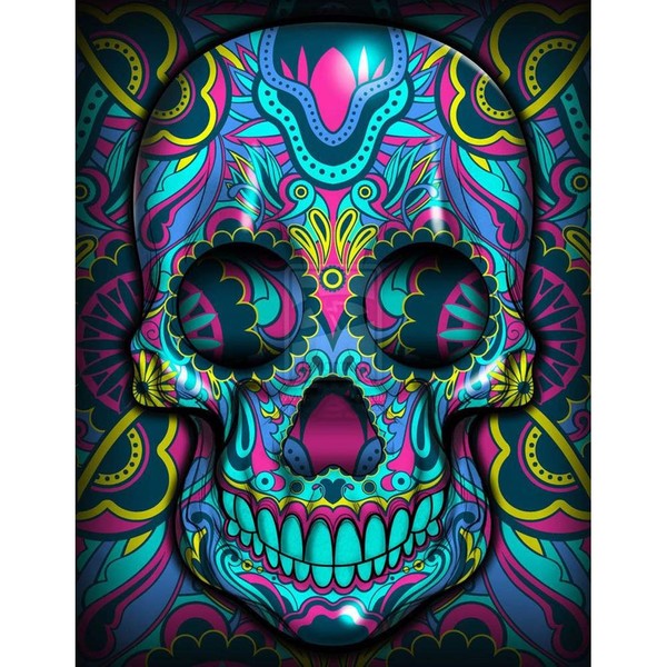 Diamond Painting Kits with Tools, Meecaa Skeleton Skull DIY 5D