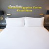 Sunshine Comforts Egyptian Cotton Fitted Sheets Breathable, Anti Wrinkle 30cm