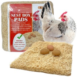 Nest Box Pads for Chicken Nesting Boxes - 13 x 13 Pads Made in USA from Sustainably Sourced Aspen Excelsior (5 Pack)