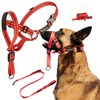 Zevey Dog Headcollar with Leash and Safety Strap Stops Heavy