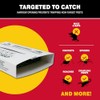Catchmaster Sticky Glue Traps for Indoor Pest Control - 12