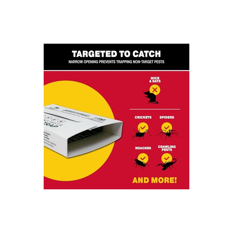Catchmaster Sticky Glue Traps for Indoor Pest Control - 12