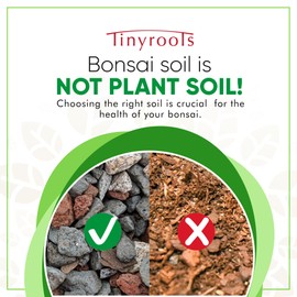 Bonsai Soil Mix by Tinyroots - All Purpose Bonsai Soil Mix Ready to Use Blend, Used for All Varieties of Bonsai Trees, 2.25 Quarts