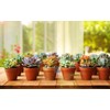 Realure Pack of 20 Clay Pots for Succulents, Small Flower