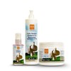 Ever Ego Italy Impac Ego Garlic (Shampoo16.9 + Mask 16.9oz