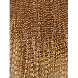 Mane Concept Brown Sugar Human Hair Blend 4" Deep Part HD Clear Lace Wig - BSHC294 BUTTERFLY (OM30/613)