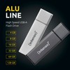 Intenso Alu Line USB 2.0 Flash Drive 128 GB Silver