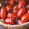 Tomato Seeds - San Marzano (Indeterminate) - 4 Oz ~30,000