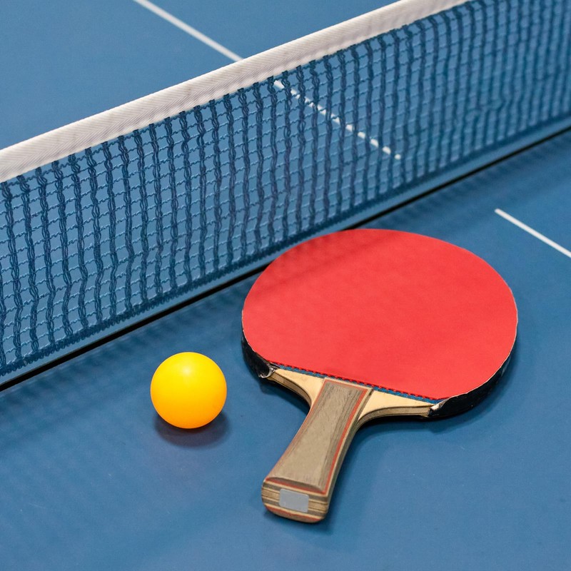 PATIKIL 12"x8" Table Tennis Racket Case Cover Table Tennis Racket
