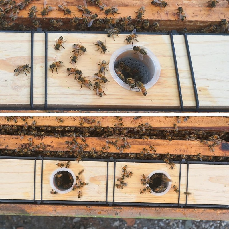 4 Pack 6.5L Bee Feeder, Bee Hive Feeder, Beehive Frame