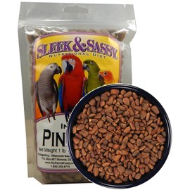 SLEEK & SASSY in-Shell Pine Nuts for Birds (16 oz.)