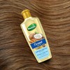 Hashmi Aceite de Coco para Cabello con Almendras y Ricino,