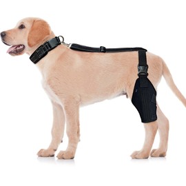 HapeePopy Dog Knee Brace for Dog ACL Brace Hind Leg Or Rear Leg (Size: M). Dog Leg Braces for Back Leg Can Be Used for Left and Right Interchanges. Better Recovery with Dog ACL Brace.