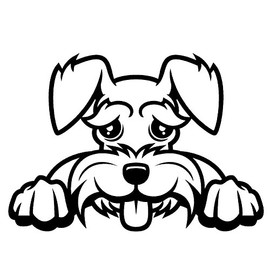 STICKER DAD Schnauzer Peeking V1 Vinyl Decal by StickerDad® - Size: 5", Color: Reflective Black - Windows, Walls, Bumpers, Laptop, Lockers, etc.