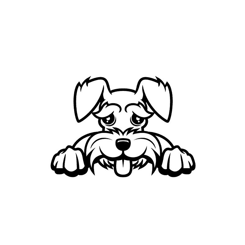 STICKER DAD Schnauzer Peeking V1 Vinyl Decal by StickerDad® -